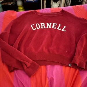 Cropped Cornell Crewneck Sweater in Deep Red